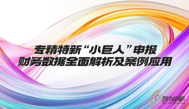专精特新“小巨人”申报财务数据全面解析及案例应用.jpg