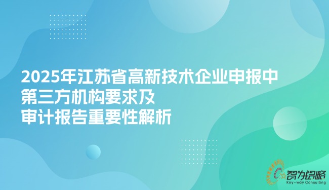 2025年江苏省高新技术企业申报中第三方机构要求及审计报告重要性解析.jpg