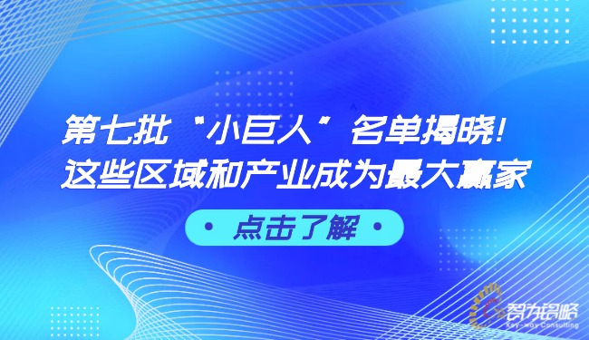 第七批“小巨人”名单揭晓！这些区域和产业成为*大赢家.jpg