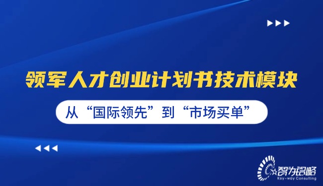 领军人才创业计划书技术模块—从“国际**”到“市场买单”.jpg